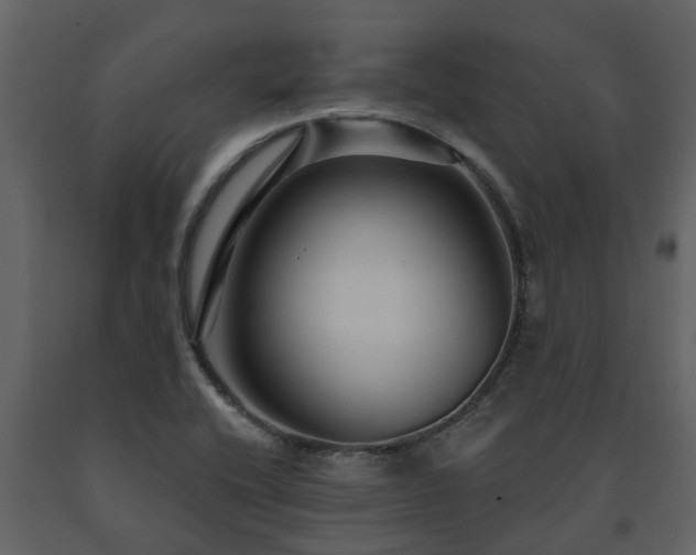 X0000091691416200708231429