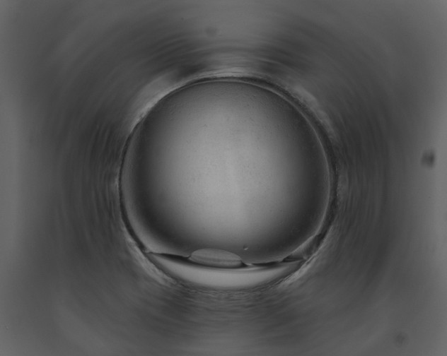 X0000091691417200708231429