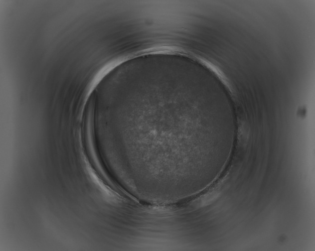 X0000091691418200708231429