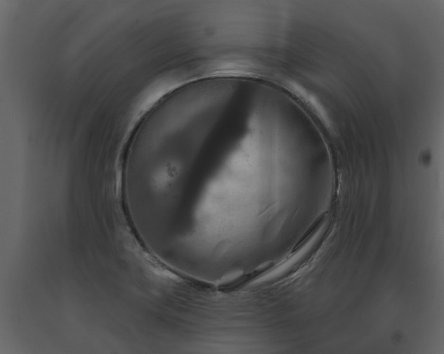X0000091691419200708231429