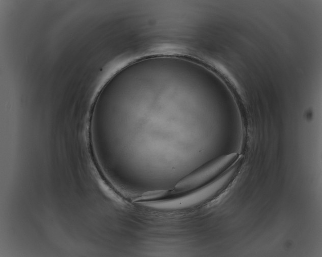 X0000091691421200708231429