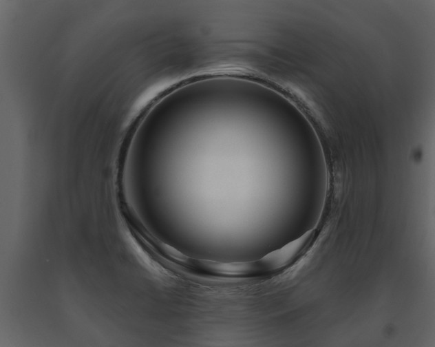X0000091691422200708231429