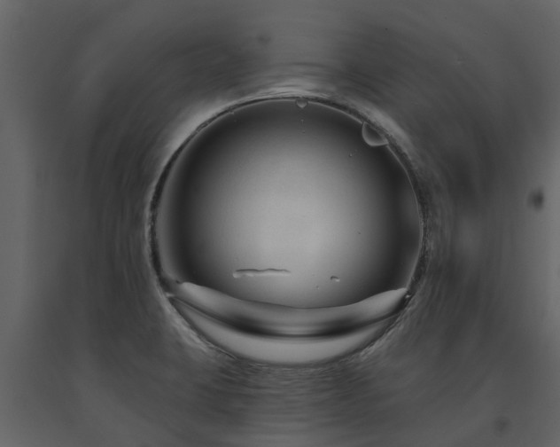 X0000091691423200708231429