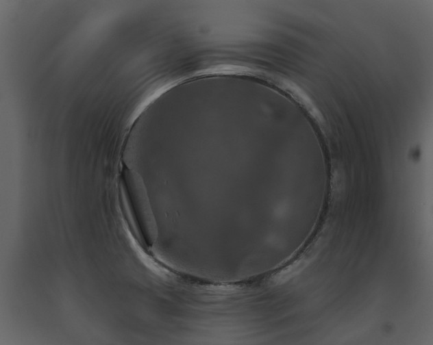 X0000091691425200708231429