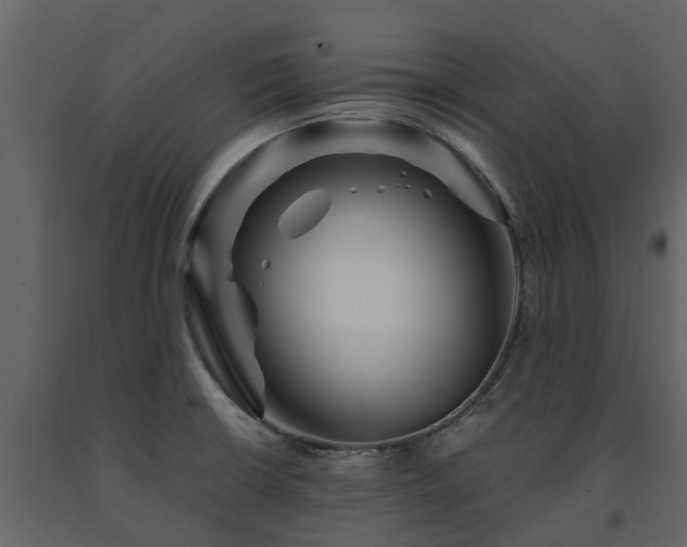 X0000091691426200708231429