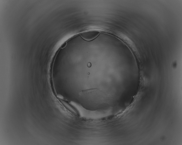 X0000091691427200708231429