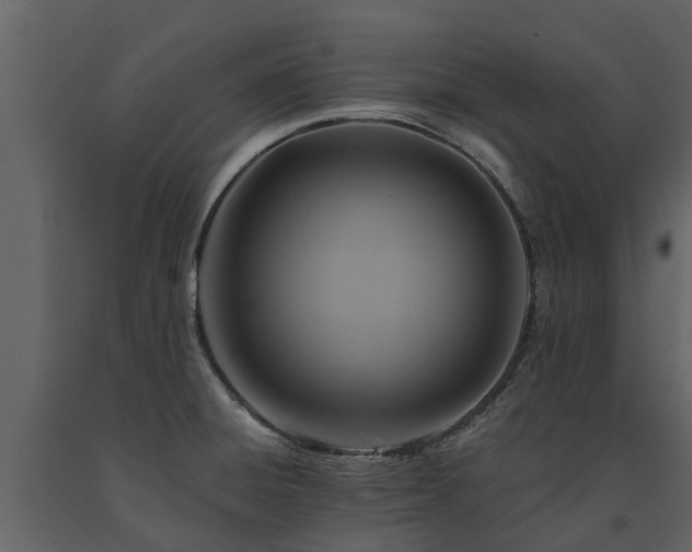 X0000091691428200708231429