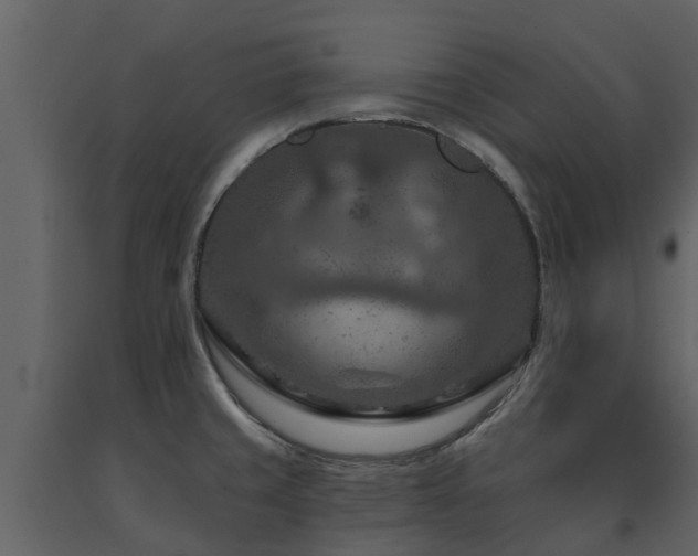 X0000091691429200708231430