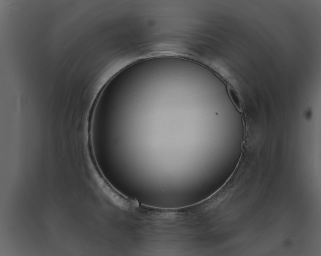 X0000091691431200708231430
