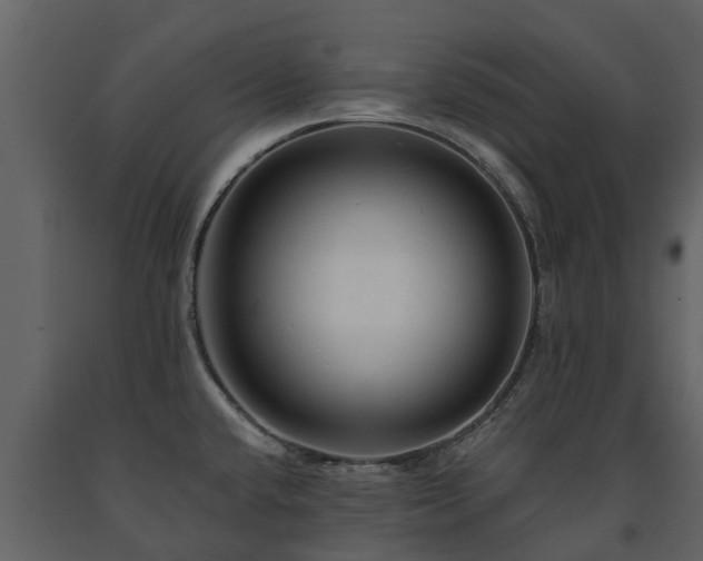 X0000091691432200708231430