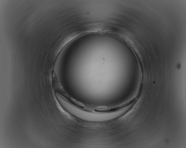 X0000091691433200708231430