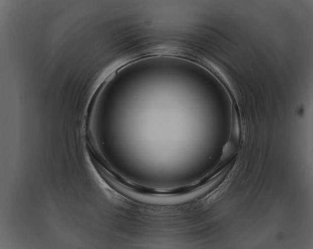 X0000091691434200708231430