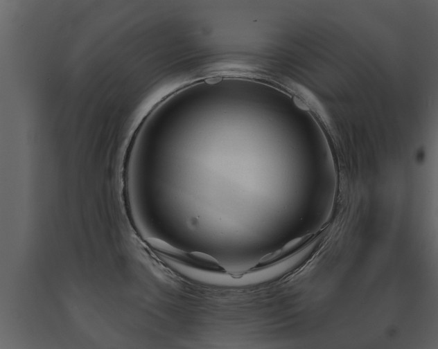 X0000091691435200708231430