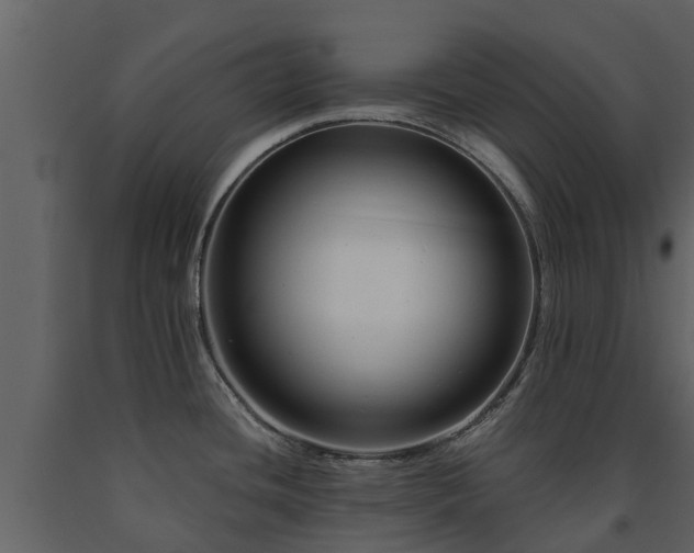 X0000091691436200708231430