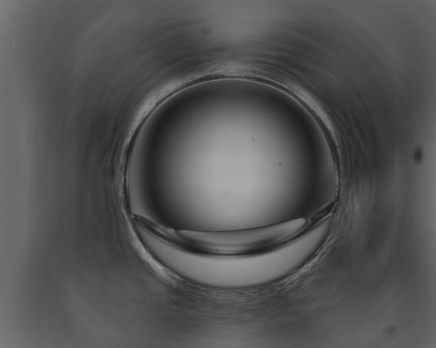 X0000091691437200708231430