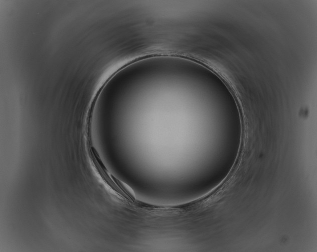 X0000091691440200708231430