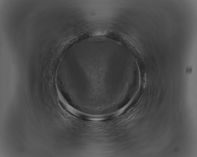 X0000091691441200708231429