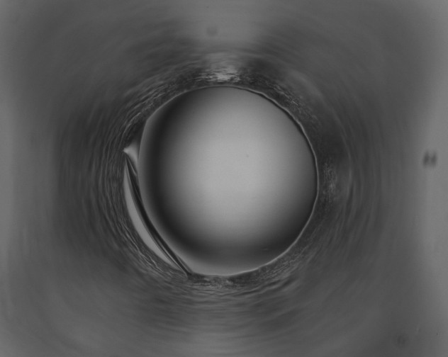 X0000091691442200708231429