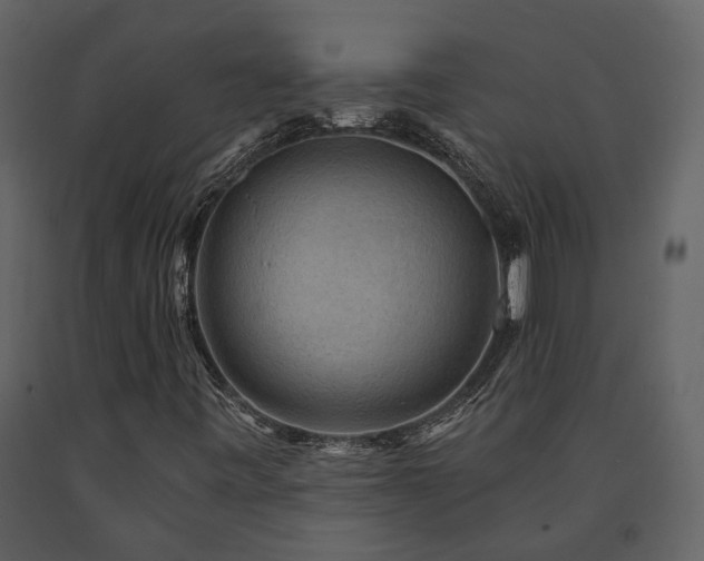X0000091691443200708231429