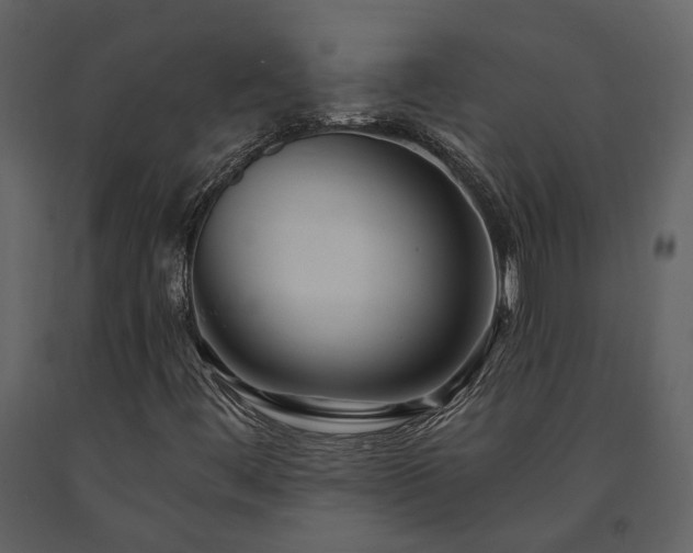 X0000091691444200708231429