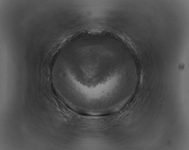 X0000091691445200708231429
