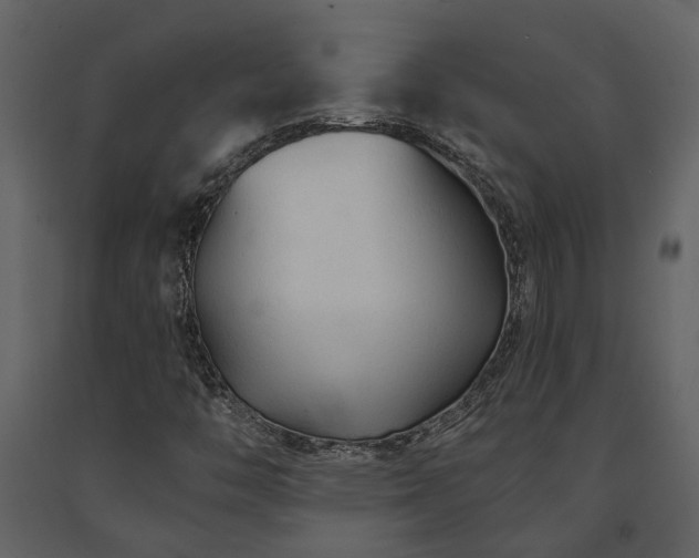 X0000091691446200708231429