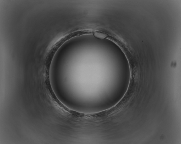 X0000091691448200708231429