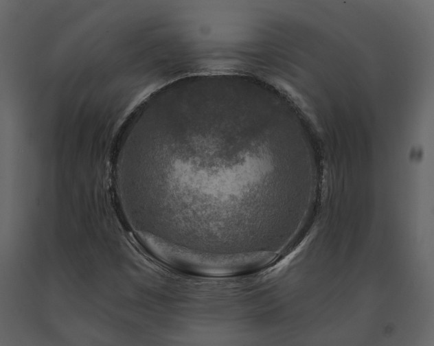 X0000091691449200708231429