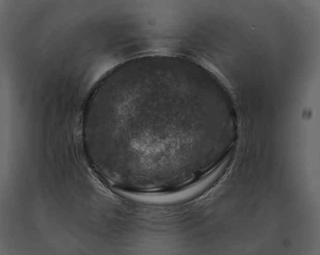X0000091691450200708231429