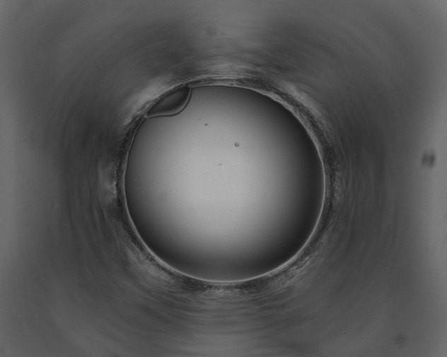 X0000091691451200708231429