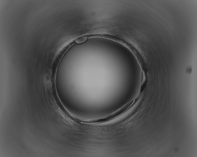 X0000091691452200708231429