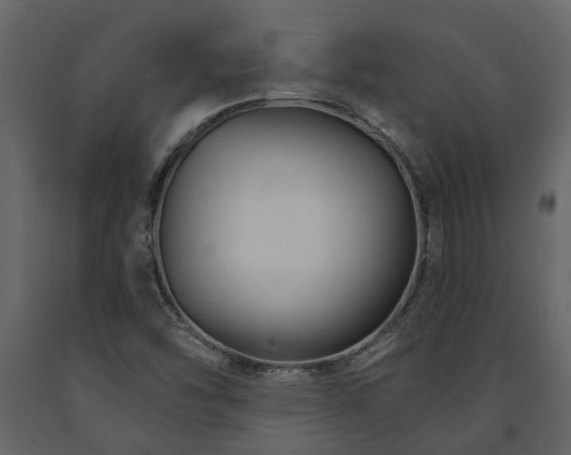 X0000091691454200708231429