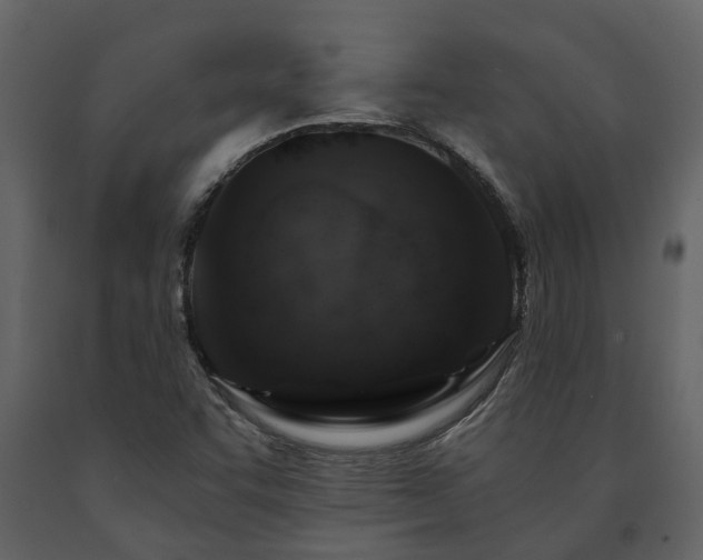 X0000091691455200708231429