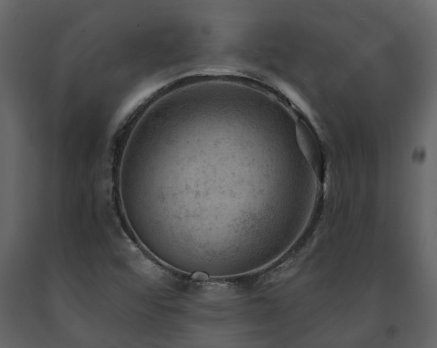 X0000091691456200708231429
