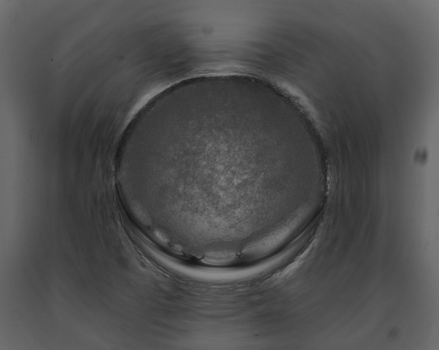 X0000091691457200708231429