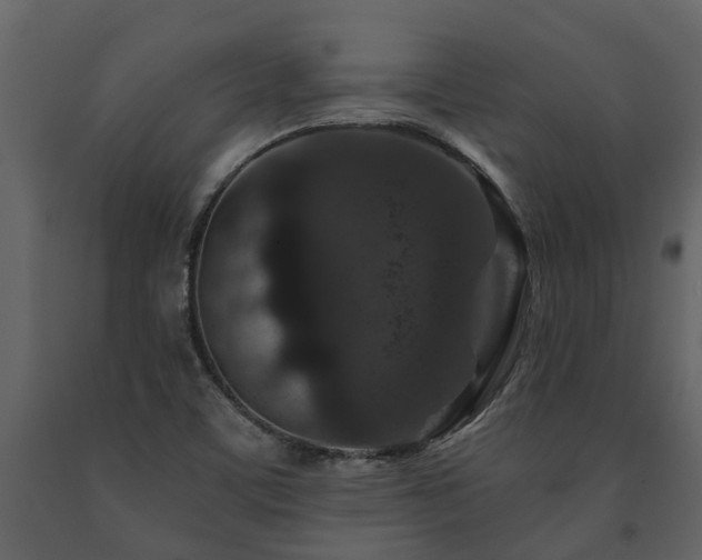 X0000091691459200708231429