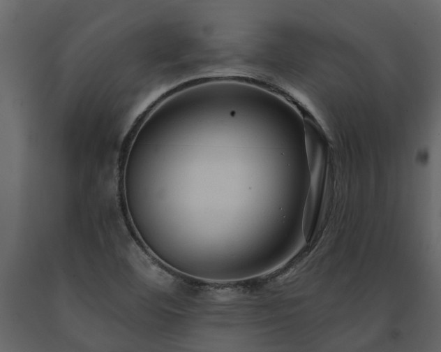 X0000091691460200708231429