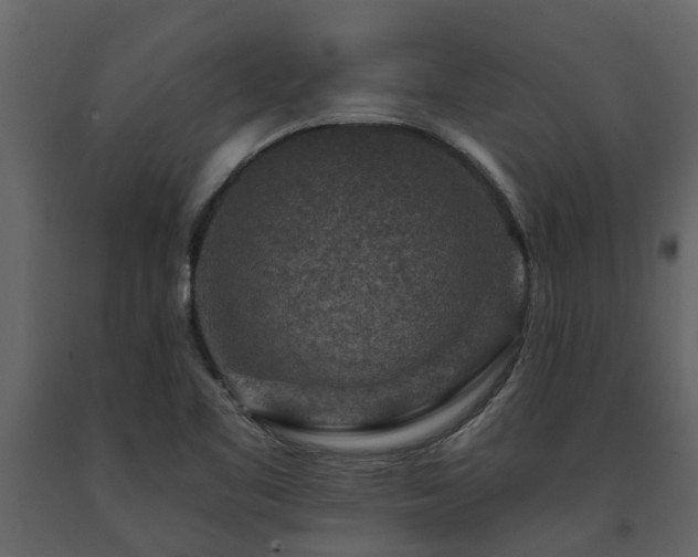 X0000091691461200708231429