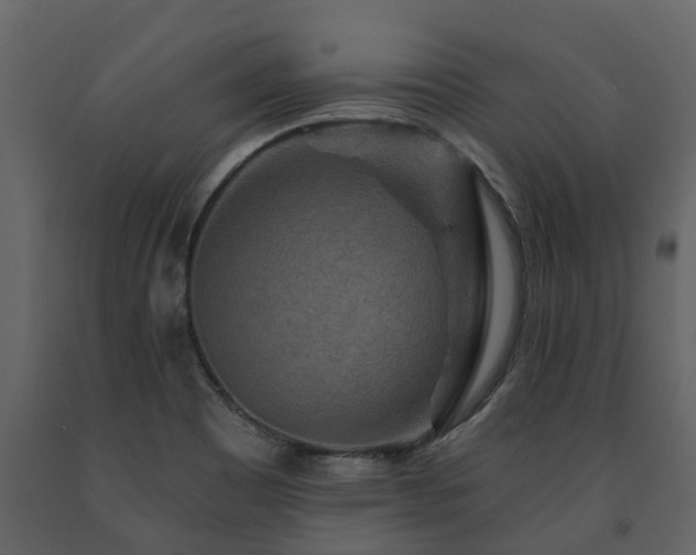 X0000091691465200708231429