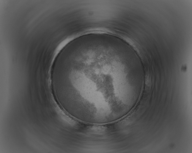 X0000091691466200708231429