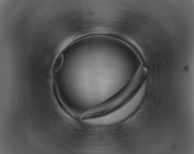 X0000091691467200708231429