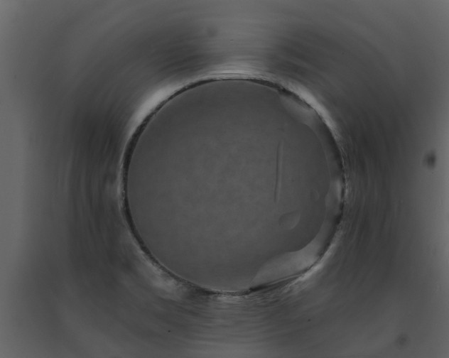 X0000091691469200708231429