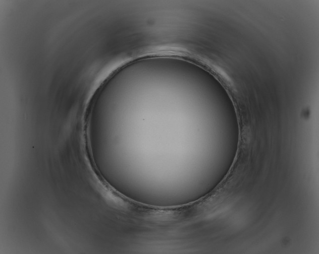 X0000091691470200708231429