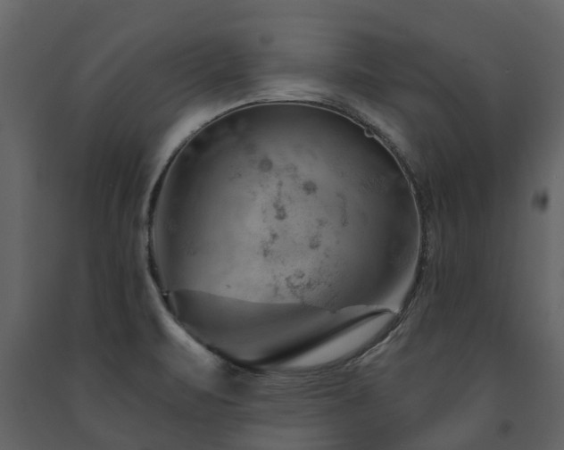 X0000091691471200708231429