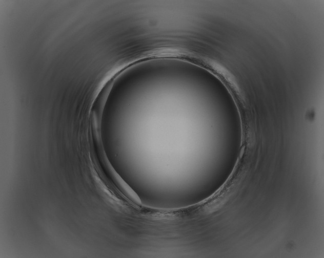X0000091691473200708231429