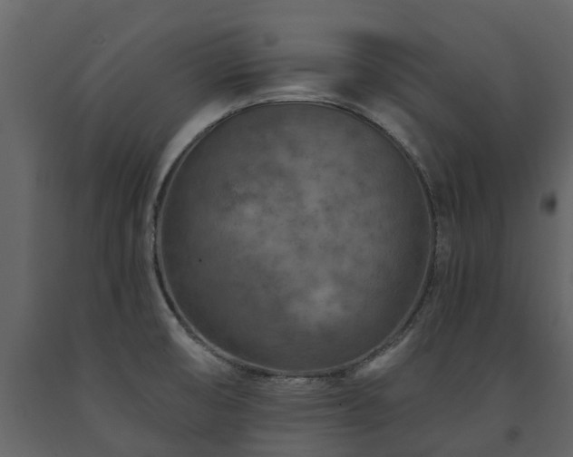 X0000091691474200708231429