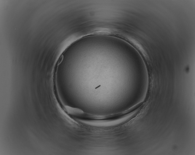 X0000091691475200708231429
