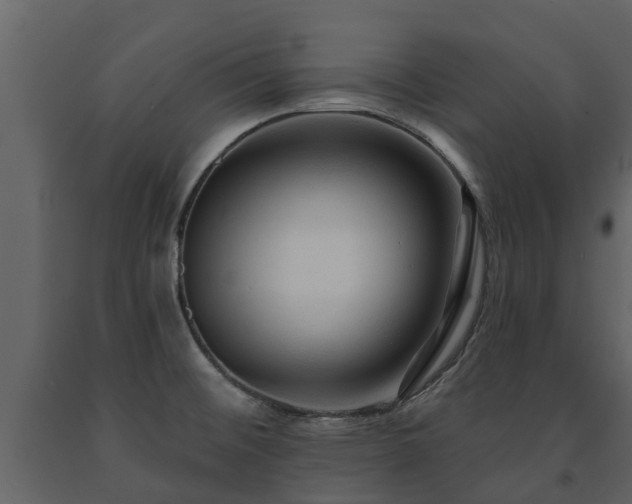 X0000091691476200708231429
