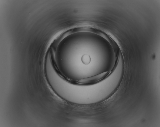 X0000091691477200708231429