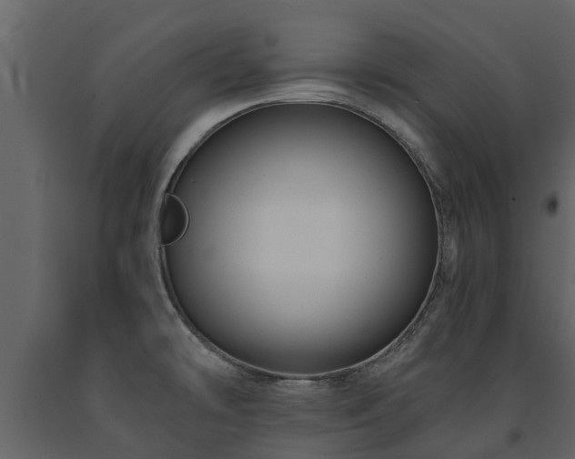 X0000091691478200708231428